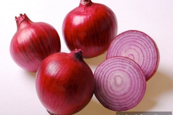 Кракен без зеркала onion top